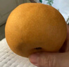 京鮮生 河北 豐水梨 凈重5斤 單果250g+ 生鮮水果禮盒 曬單實拍圖