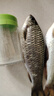 南北鯪魚(yú)精小藥兩廣專(zhuān)攻鯪魚(yú)土鯪餌料添加劑鯽魚(yú)泰鯪麥蛋奶聚魚(yú)成窩誘 鯪魚(yú)精（奶味版柔和）50ml 曬單實(shí)拍圖