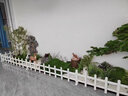 PVC塑鋼草坪地護欄綠化帶花壇菜校園林池圃柵欄塑料小區圍欄籬笆 白色50厘米高 曬單實(shí)拍圖