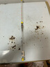 精品高端金鼎月電子漂日夜兩用硬尾夜光漂高靈敏鯽魚(yú)浮漂醒目浮標夜釣魚(yú)漂 黑色 ST-01 3號一支(吃鉛2.1G) 曬單實(shí)拍圖