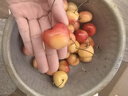美國(guó)雷尼爾黃櫻桃大櫻桃【上海順豐次日達(dá)】高檔水果禮盒生鮮禮物 【特大果JJJ】果徑30-32mm2斤 曬單實(shí)拍圖