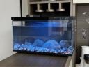 米家智能鱼缸小米智能鱼缸小型客厅水族箱自动喂食智能联动生态过滤 米家智能鱼缸 实拍图