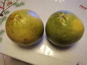 泰國紅寶石柚子泰柚紅心青柚新鮮熱帶水果青皮柚子 4個(gè)裝 曬單實(shí)拍圖