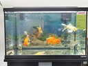 森淵（SENYUAN）魚缸背景貼紙魚缸背景紙魚缸壁紙畫高清圖3立體魚缸珊瑚石造景 30高42長【備注款式】 曬單實拍圖