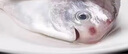 一米漁東海鯧魚新鮮冷凍白鯧魚海鮮銀鯧魚平魚海鯧魚舟山年貨禮盒年夜飯 東海白鯧魚4斤【大號約16條】 曬單實拍圖