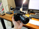 尼康（Nikon） Zf全画幅微单相机 可选单机/套机 4K高清数码照相机Vlog自拍旅游ZF单机拆机全画幅 zf单机身（不含镜头） 官方标配【送LED补光灯+双槽充电器+钢化屏】 晒单实拍图