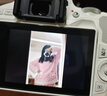 佳能（Canon） EOS 200D二代 200d2代單反相機入門單反vlog迷你單反數(shù)碼照相機 200DII銀色拆單機+佳能小痰盂人像鏡頭套裝 官方標(biāo)配【無必備配件攝影大禮包~推薦購買套餐】 曬單實拍圖