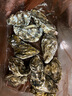 夢(mèng)嘗客【活鮮】夢(mèng)嘗客 生蠔鮮活特大 同城閃送當日達 XXXL號4斤推薦款（15-25只） 曬單實(shí)拍圖