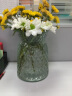 盛世泰堡 北欧玻璃花瓶插花瓶干花满天星仿真花水培植物容器小花瓶客厅装饰摆件 冰点透明款18cm 实拍图