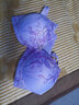 夏季新款刺繡少女無鋼圈內(nèi)衣薄款調(diào)整形小胸聚攏文胸女生乳罩 紫色 34/75B 曬單實(shí)拍圖