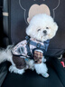 MOEPIE狗狗衣服秋冬款西高地博美雪納瑞比熊小狗冬季保暖胸背外套 寶藍色 S（推薦4-6斤狗狗） 曬單實(shí)拍圖