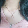 奢萊斯勒奢侈飾品【七夕情人節(jié)禮物】項鏈女新款高級珠寶生日送女友老婆 (品牌禮盒+順豐) 月亮兔子 曬單實拍圖
