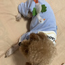 嬉皮狗（hipidog）小狗狗衣服可牽引立體翅膀小天鵝四腳衣貓咪秋冬衣服比熊泰迪棉衣 藍色（可牽引） L （建議體重8-11斤） 曬單實(shí)拍圖