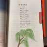 【斗半匠】語(yǔ)文晨讀美文一二三四五六年級下冊上冊337晨讀記憶法每日晨讀循環(huán)掌握晨誦晚讀優(yōu)美句子積累大全好詞好句好段好篇作文書(shū)視頻講解 【2本】語(yǔ)文晨讀+英語(yǔ)晨讀美文（全一冊） 三年級下冊 曬單實(shí)拍圖