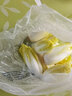 采緹玉蘭菜新鮮 菊苣芽球新鮮蔬菜西餐沙拉生菜白玉蘭生菜生鮮 1.5斤嘗鮮裝 曬單實(shí)拍圖