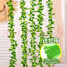 雙盟仿真藤條爬山虎葉婚慶節慶裝飾假樹(shù)葉藤蔓塑料花藤下水管遮擋綠葉 曬單實(shí)拍圖