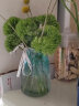 九月生玻璃小花瓶插花摆件仿真花干花水培水养植物容器绿萝透明玻璃瓶 实拍图