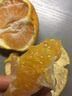 百橙戀四川春見耙耙柑整箱送禮不知火丑橘丑八怪爆漿粑粑柑中秋禮盒送禮 精選大果3斤【嘗鮮裝】 曬單實拍圖