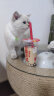 卫仕猫用A2亲和配方羊奶粉200g小猫宠物新生猫羊奶粉营养速补帮助成长宠物营养品猫咪羊奶粉 实拍图
