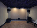 JBL【官方店鋪】Pasion12專業(yè)家庭ktv音響套裝 卡拉ok家用K歌音箱唱歌設備全套 12吋5.1影K套裝【奢華影音室】 曬單實拍圖