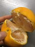 百橙戀四川春見耙耙柑整箱送禮不知火丑橘丑八怪爆漿粑粑柑中秋禮盒送禮 精選大果3斤【嘗鮮裝】 曬單實拍圖