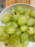 千朵云澳洲進(jìn)口甜地球秋天酥青提 無(wú)籽秋天脆葡萄 脆甜多汁新鮮孕婦水果 2斤 曬單實(shí)拍圖