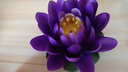 戴玉堂 陶瓷蓮花仿真花裝飾白蓮花禪意車(chē)載擺件佛前供花車(chē)飾白色荷花 D04-55B 帝王蓮 紫色 荷葉 中小 曬單實(shí)拍圖