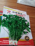 蘇瑞耐寒耐熱香菜種子大葉芫荽陽臺四季香菜種菜種籽種籽農(nóng)家蔬菜種孑 四季香菜【20克】 曬單實拍圖