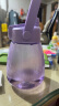特百惠（Tupperware）大肚杯1.1L男女学生儿童塑料杯大容量吸管直饮双用水杯子 冰沙紫 实拍图