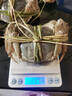 【活蟹】伊樂(lè )草精品紅膏超大公母蘇州太湖大閘蟹鮮活現貨螃蟹禮盒 精品螃蟹 百里挑一 全母 3.4-3.7兩 8只 曬單實(shí)拍圖
