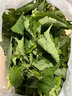 辰實(shí)四川新鮮藿香葉【順豐】魚香葉木香子香菜小茴香 1斤 曬單實(shí)拍圖