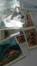 东吴收藏 集邮 1987年到1989年 T121到T144特种 T字头邮票 6号 T127 环境保护 实拍图