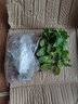 慎思苑薄荷盆栽可食用水培檸檬薄荷苗迷迭香可食用薄荷室內(nèi)綠植土培植物 薄荷2盆（原盆原土） 曬單實(shí)拍圖
