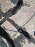 同城防水補(bǔ)漏維修暗管檢測上門外墻窗戶陽臺樓頂廚房衛(wèi)生間漏水滲水免砸墻外墻施工服務(wù)房屋漏水維修上門服務(wù) 免費(fèi)上門預(yù)約 曬單實(shí)拍圖
