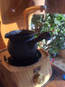 域見(jiàn)火山石側把煮茶壺養生壺老白茶煮茶器煮茶爐電陶壺煮茶電陶爐套裝 單側把壺，含木蓋 曬單實(shí)拍圖