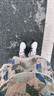 Onitsuka Tiger鬼塚虎中童帆布鞋懶人鞋休閑鞋MEXICO 66? SLIP-ON KIDS 米黃色 35 曬單實(shí)拍圖