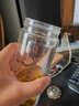 希諾（heenoor） 玻璃杯便攜車(chē)載雙層隔熱泡茶杯男士透明耐熱辦公杯加厚保溫水杯 大容量390ml（藍色）-XN6713 曬單實(shí)拍圖