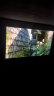 RTAKO【NO.I】投影仪家用家庭影院4k超高清白天手机电脑便携3d投影办公卧室客厅小型一体机电视 【旗舰版】全自动电子对焦-可投屏-白天也能看K 实拍图