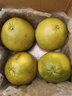 泰國紅寶石柚子泰柚紅心青柚新鮮熱帶水果青皮柚子 4個(gè)裝 曬單實(shí)拍圖