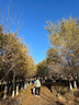 波司登（BOSIDENG）【反季】沖鋒衣鵝絨羽絨服男女情侶同款90絨三合一防風(fēng)防雨外套 樹(shù)籬綠 燕綠色455C L 170/92A 曬單實(shí)拍圖