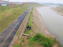 QCDD護(hù)坡固土草籽種子四季青耐寒矮草坪種孑山邊坡公路紫穗槐灌木植物 護(hù)坡王/斤【山體邊坡耐旱】 曬單實(shí)拍圖