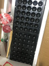 商用加長(zhǎng)70孔燃?xì)獠徽冲伡雍聒B蛋機(jī)烤鳥蛋爐烤鵪鶉蛋串機(jī)烤蛋機(jī)烤鵪鶉蛋機(jī) 曬單實(shí)拍圖
