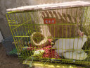 宠乐乖 狗笼子中小型犬幼犬加粗加密折叠便携猫笼子宠物笼具760NM 实拍图
