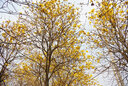 適馬/SIGMA 16mm 30mm 56mm 18-50mm 28-70mm二手微單鏡頭適馬三劍客 18-50mm f/2.8 DC DN【索尼半幅】 準(zhǔn)新 曬單實(shí)拍圖