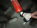 薰風(fēng)（KUMPOO） 薰風(fēng)GP30羽毛球耐打不易爛12只裝耐打穩(wěn)定鴨毛家用成人熏風(fēng) GP30（77速）12個只 1筒 曬單實(shí)拍圖