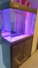 閩江（minjiang）魚(yú)缸水族箱客廳家用免換水底過(guò)濾簡(jiǎn)約現代輕奢超白玻璃鋁合金魚(yú)缸 簡(jiǎn)約款灰色（超白玻璃+鋁合金邊框） 長(cháng)80x寬38.7x高145（簡(jiǎn)約款D型） 曬單實(shí)拍圖