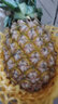 譯優(yōu)農正宗海南金鉆鳳梨香水大菠蘿手撕無(wú)眼波蘿新鮮當季熱帶水果整箱 凈重4.5-5斤【2-3個(gè)】S級爆甜 曬單實(shí)拍圖