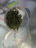 瘋狂水草（FKSC）無(wú)菌杯魚(yú)缸水草造景植物莫斯陰性草缸日本珍珠草魚(yú)缸綠植真水草 北極杉 曬單實(shí)拍圖