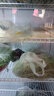 簡聚四開門展示柜保鮮點(diǎn)菜冷藏柜串串冷柜蔬菜飯店保鮮柜火鍋燒烤水果冷鮮柜大容量商用展示柜 不繡鋼四門2400*700*1900 曬單實(shí)拍圖