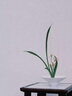 花點(diǎn)時間 365天插花創(chuàng)意課 基礎(chǔ)插花課 花藝入門 輕松插花 一步一圖 新手快速上手的理想指南書 曬單實拍圖